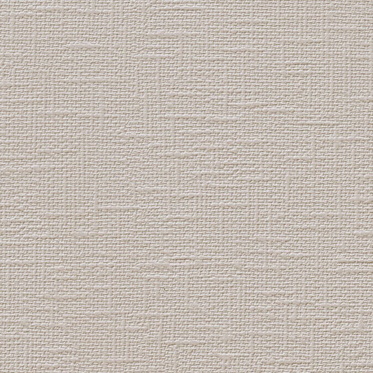 生のり付き【10m+施工道具セット】お買い得 国産壁紙 クロス / ルノン / ライトグレー RM-859