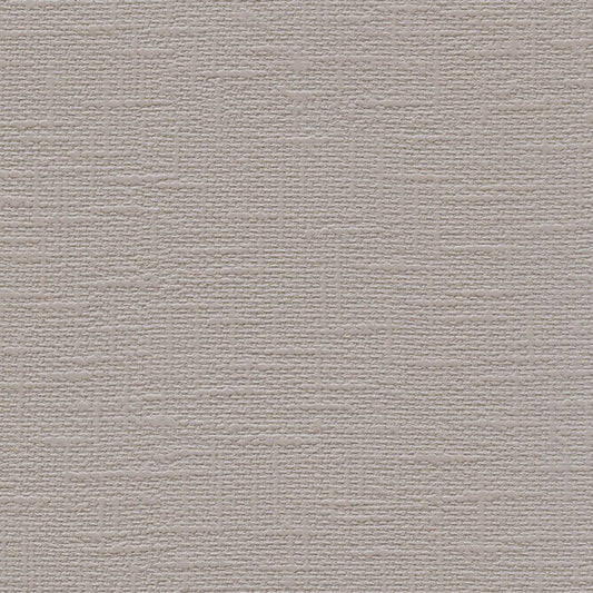 【サンプル】お買い得 国産壁紙 クロス / ルノン / ライトグレー RM-860