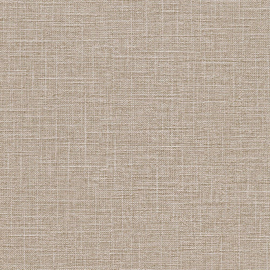 【サンプル】お買い得 国産壁紙 クロス / ルノン / ブラウン・グレージュ RM-869