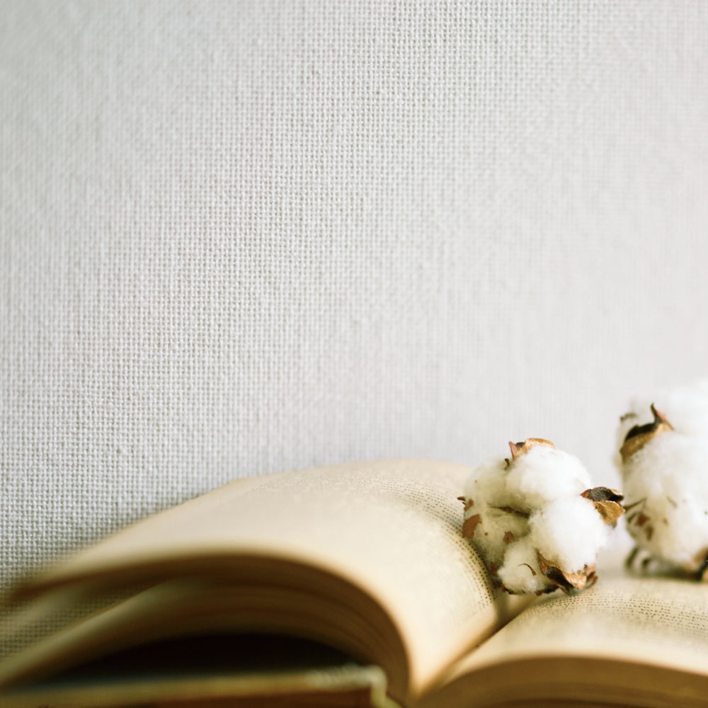 RPS-1501 壁紙 のりなし クロス / ルノン / フレッシュ 織物壁紙【1m単位切り売り】