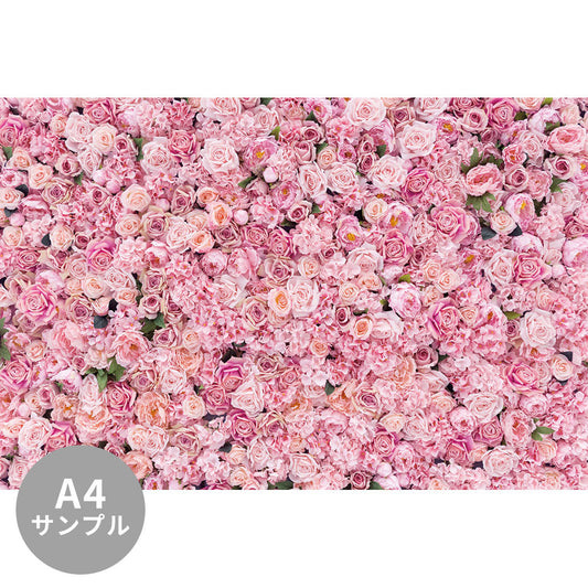 【サンプル】はがせるミューラル壁紙 シールタイプ Beautiful Pink flowers TSO-G00011