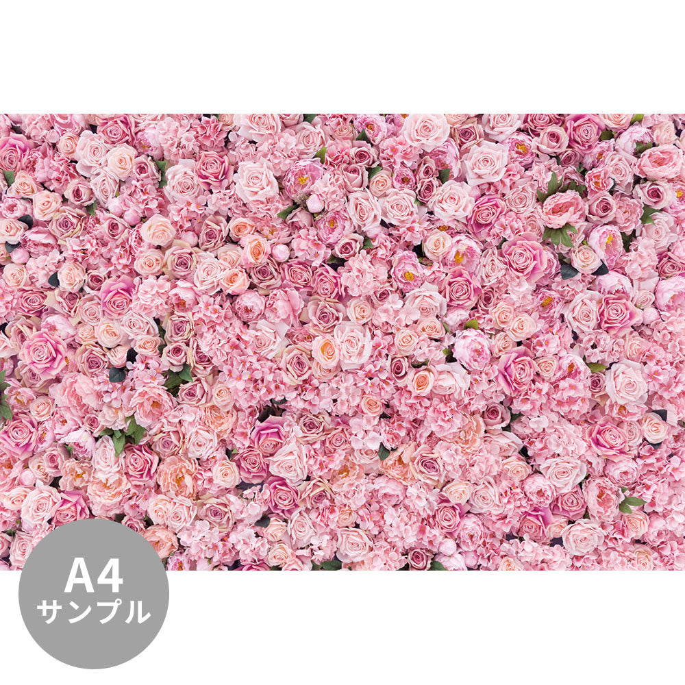 【サンプル】はがせるミューラル壁紙 のりなし Beautiful Pink flowers NSO-G00011