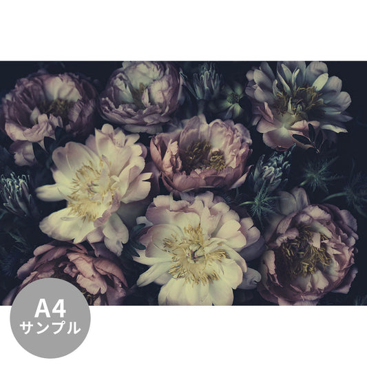 【サンプル】はがせるミューラル壁紙 シールタイプ Vintage bouquet TSO-G00013