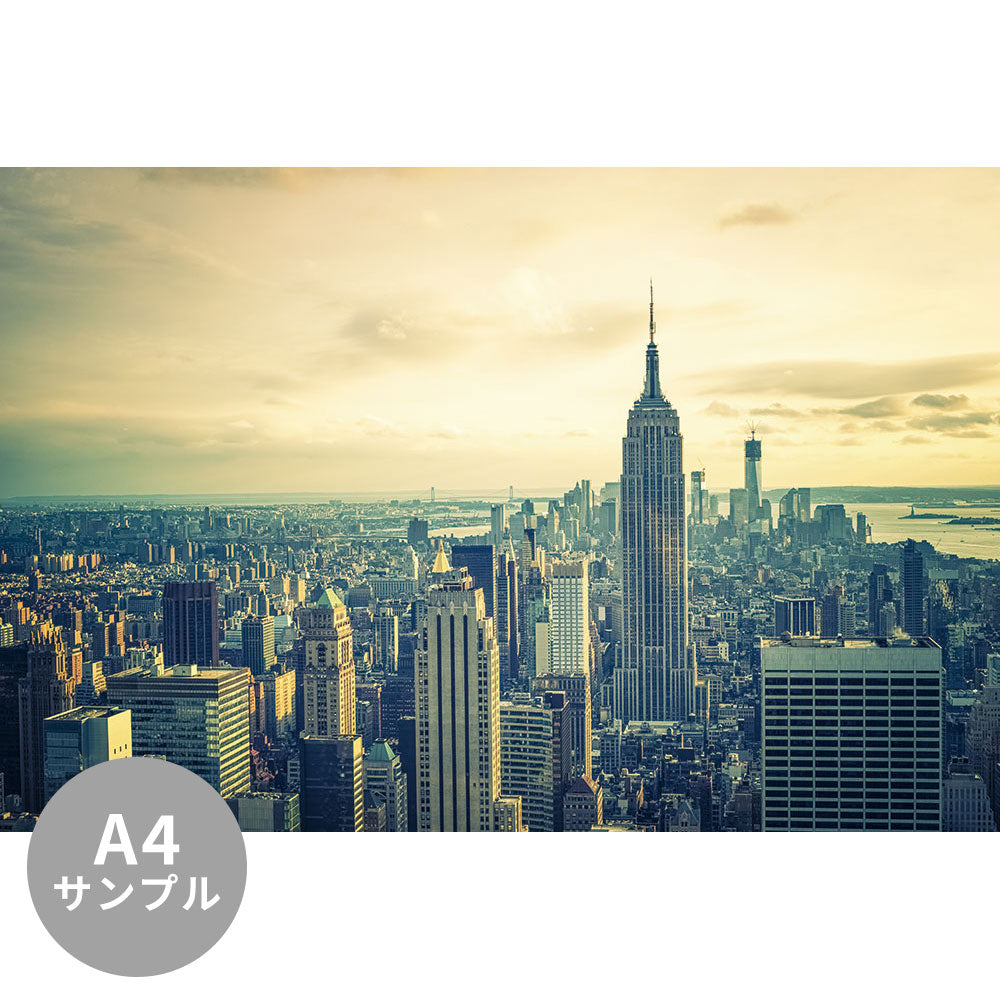 【サンプル】はがせるミューラル壁紙 シールタイプ New York City Landscape TSO-G00023