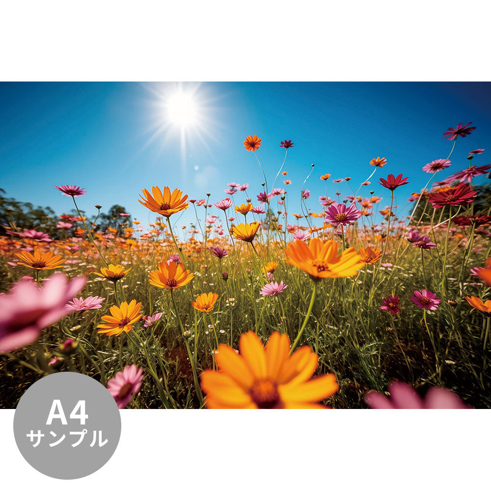 【サンプル】はがせるミューラル壁紙 のりなし Beleza Primaveril - Lindas Flores em Plena Florada NSO-G00027