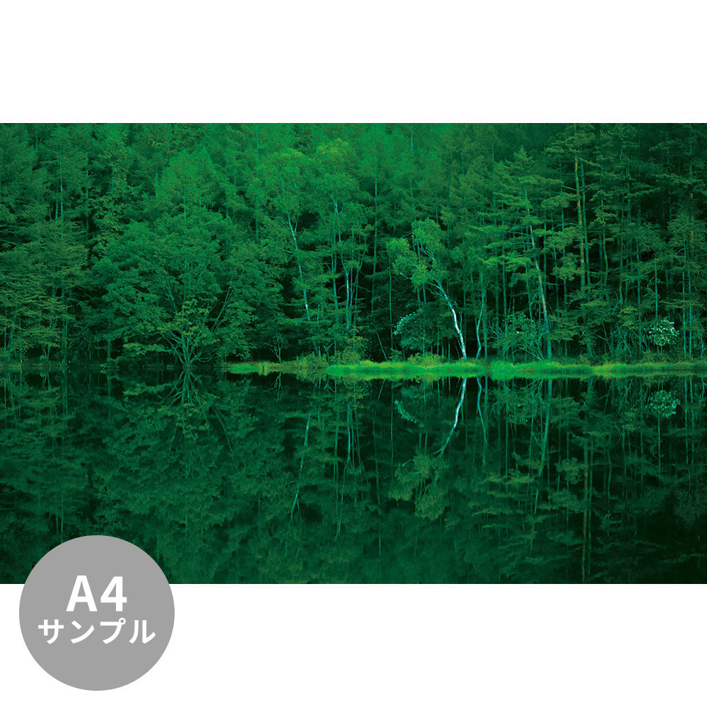 【サンプル】はがせるミューラル壁紙 シールタイプ 御射鹿池 TSO-G00035