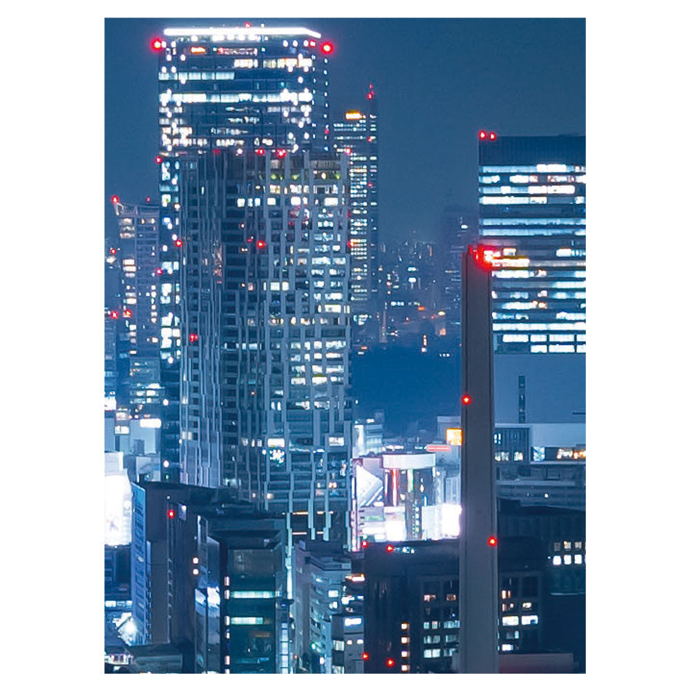 【サンプル】はがせるミューラル壁紙 のりなし 東京風景・夜景 NSO-G00037