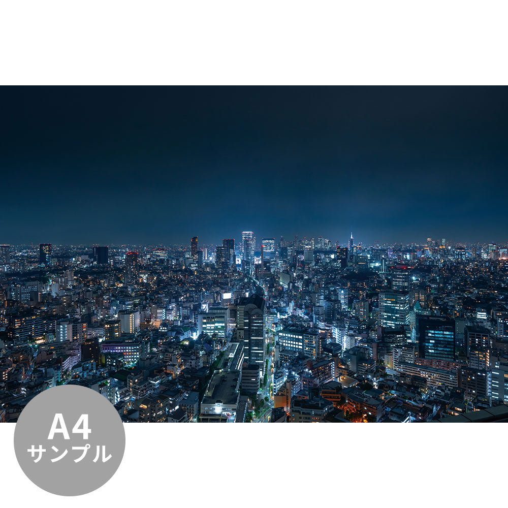 【サンプル】はがせるミューラル壁紙 シールタイプ 東京風景・夜景 TSO-G00037