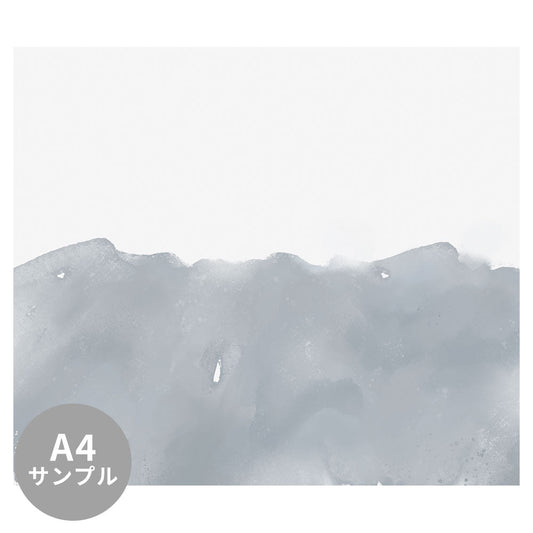 【サンプル】はがせるミューラル壁紙 シールタイプ Half Painted Slate Gray TSO-G00105