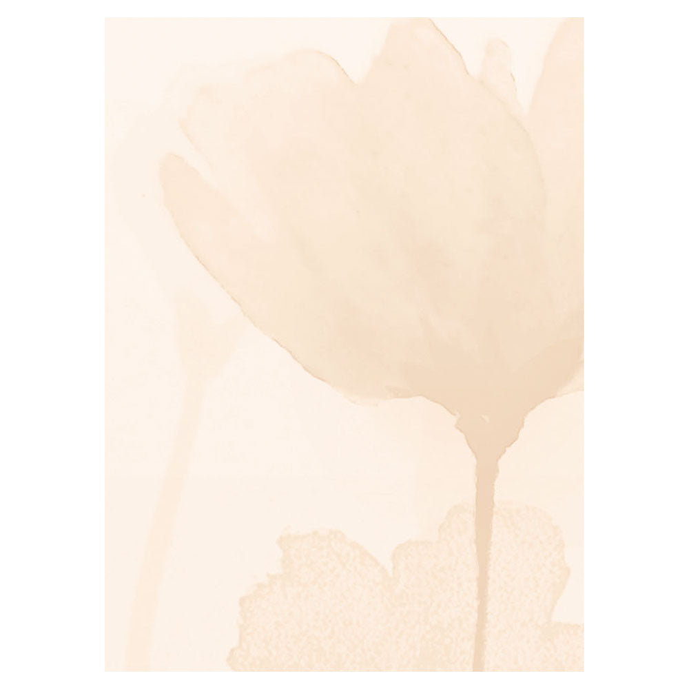 【サンプル】はがせるミューラル壁紙 のりなし Carnation, Blush Orange NSO-G00115