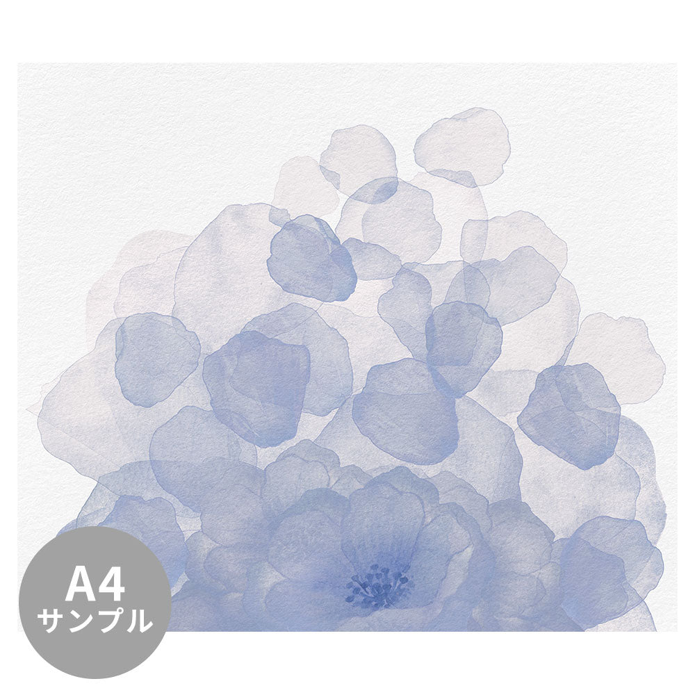 【サンプル】はがせるミューラル壁紙 のりなし Windflower Indigo NSO-G00142