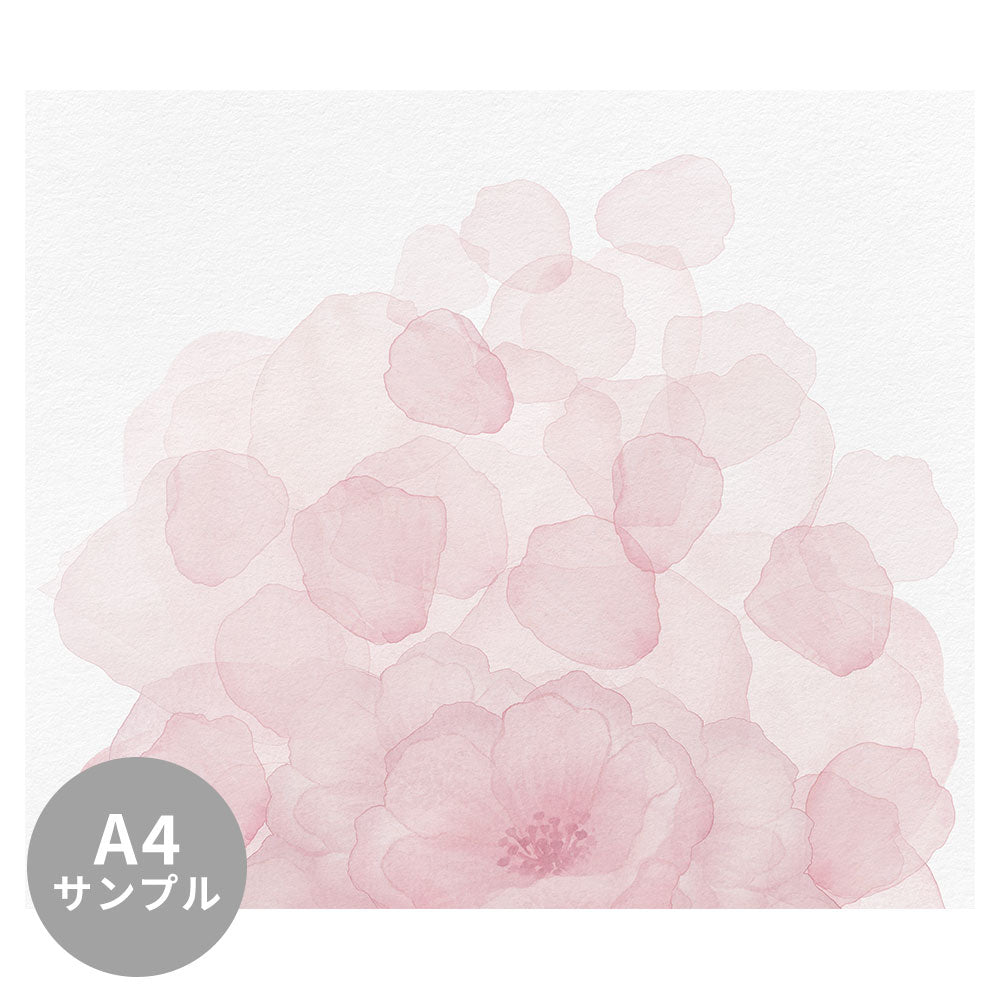 【サンプル】はがせるミューラル壁紙 シールタイプ Windflower Blossom TSO-G00143