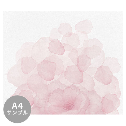 【サンプル】はがせるミューラル壁紙 シールタイプ Windflower Blossom TSO-G00143