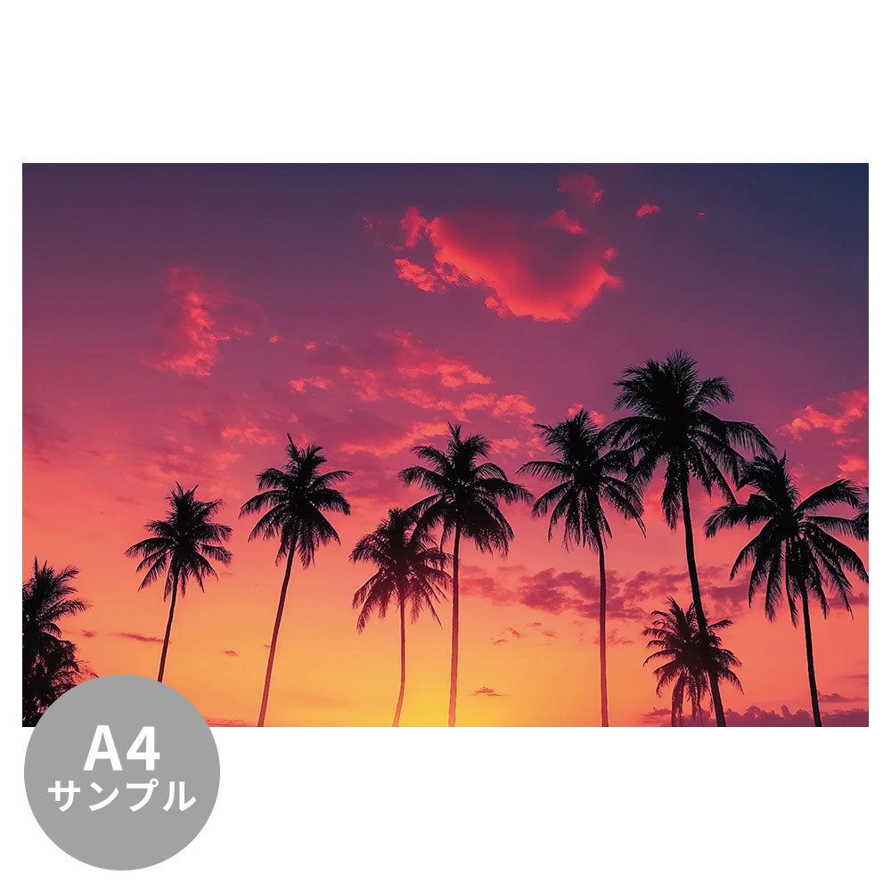 【サンプル】はがせるミューラル壁紙 のりなし Silhouette palm tree at tropical beach NSO-G00301
