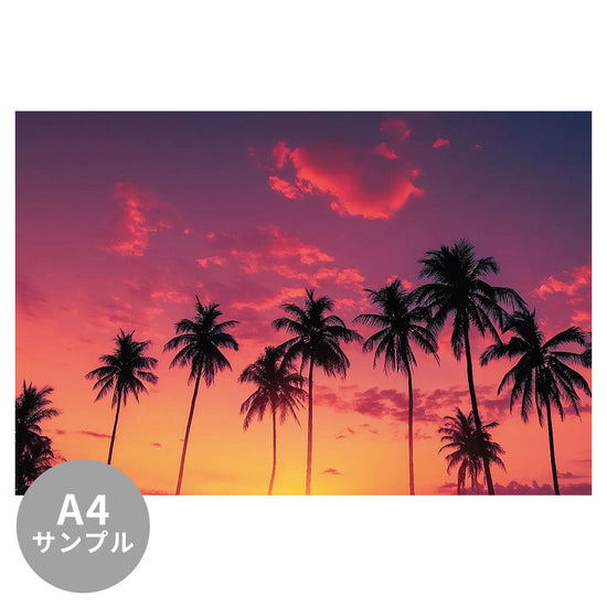 【サンプル】はがせるミューラル壁紙 のりなし Silhouette palm tree at tropical beach NSO-G00301