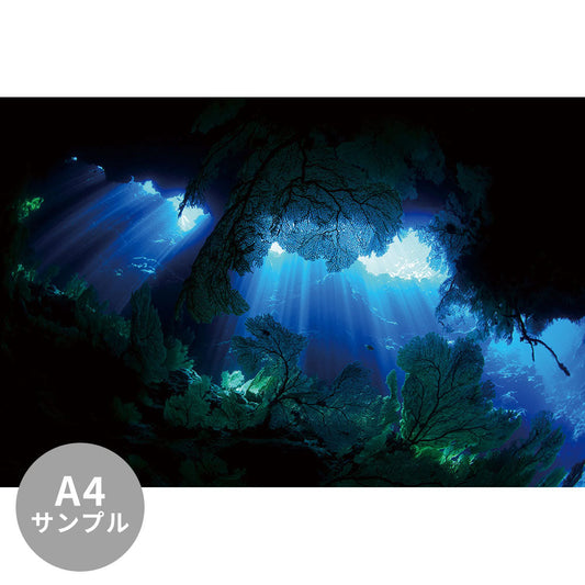 【サンプル】はがせるミューラル壁紙 シールタイプ 海の景色壁紙 鍵井靖章 ヌーベルバーグの光（リフー島ニューカレドニア） TSO-K00011