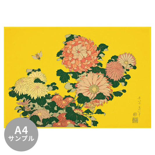 【サンプル】はがせるミューラル壁紙 シールタイプ 葛飾北斎 菊に虻（イエロー背景） TSO-M00002