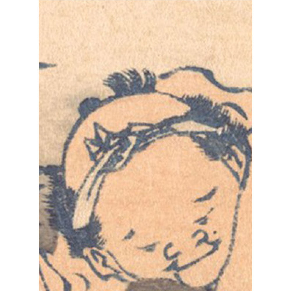 サンプル見本