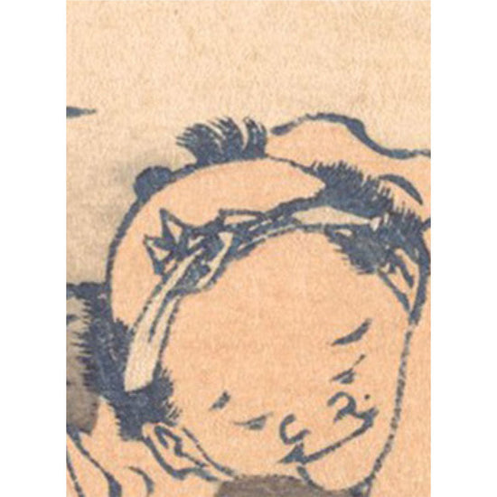 サンプル見本