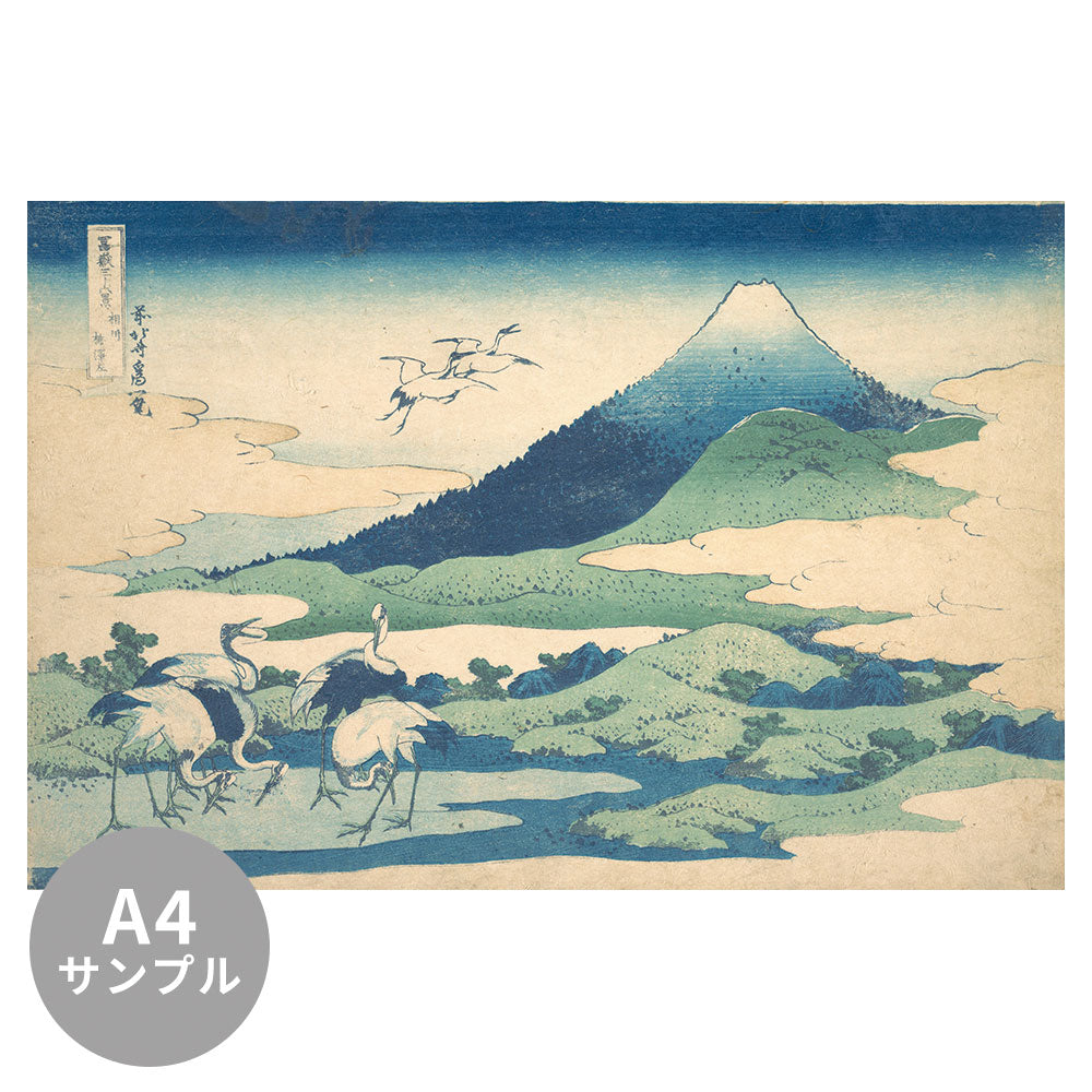 【サンプル】はがせるミューラル壁紙 のりなし 葛飾北斎 富嶽三十六景 相州梅澤左