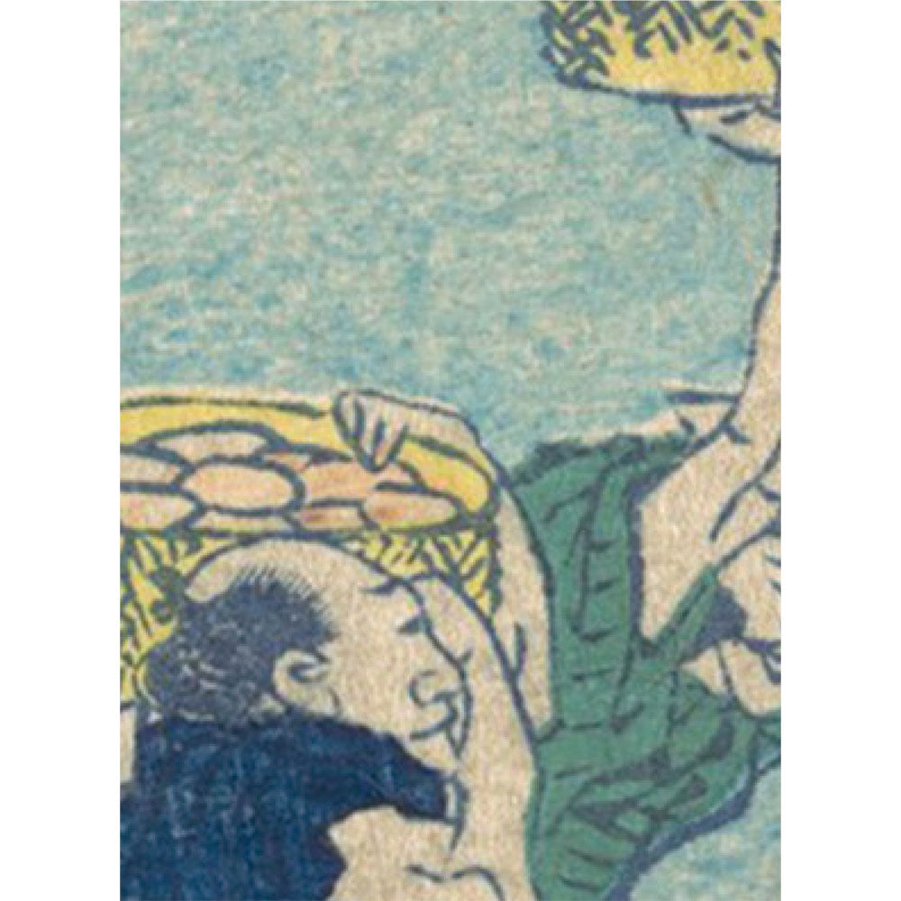 サンプル見本