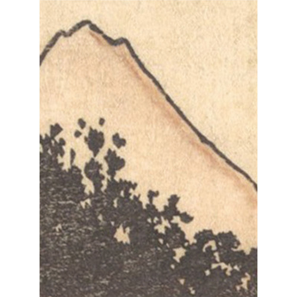サンプル見本