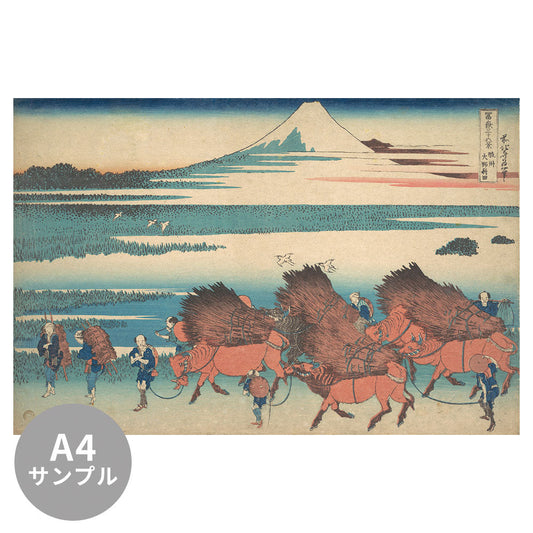 【サンプル】はがせるミューラル壁紙 シールタイプ 葛飾北斎 富嶽三十六景 駿州大野新田 TSO-N00045