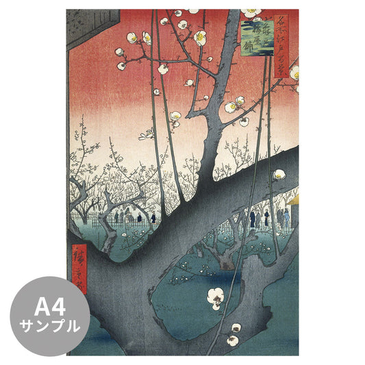 【サンプル】はがせるミューラル壁紙 のりなし 歌川広重 亀戸梅屋舗
