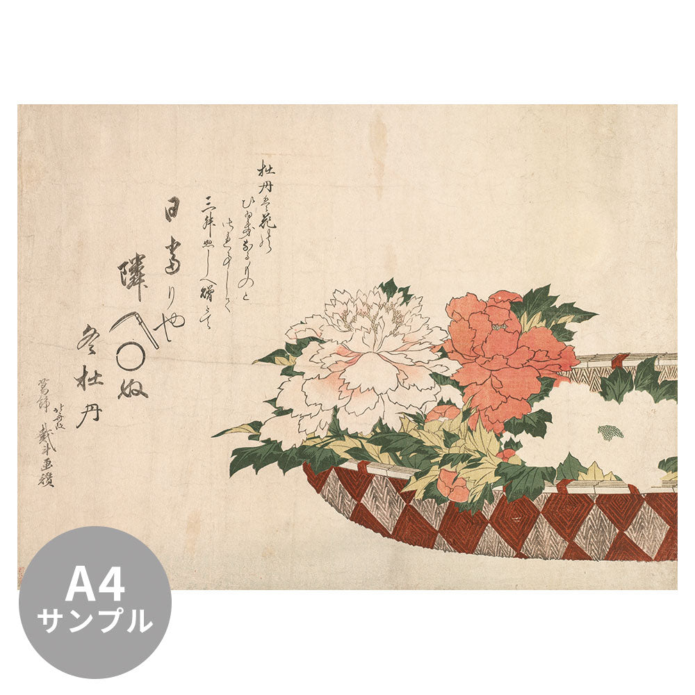 【サンプル】はがせるミューラル壁紙 シールタイプ 葛飾 北斎 冬牡丹 TSO-N00090