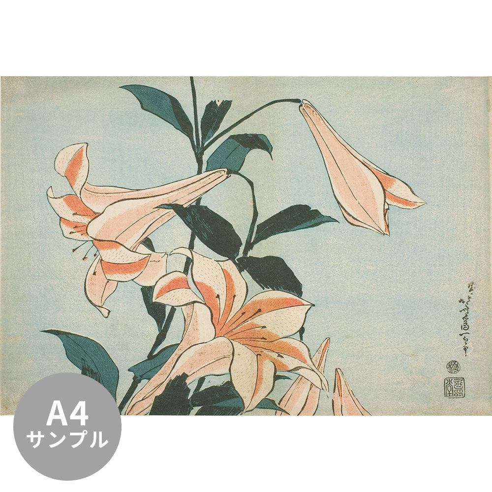 【サンプル】はがせるミューラル壁紙 シールタイプ 葛飾 北斎 百合 TSO-N00091