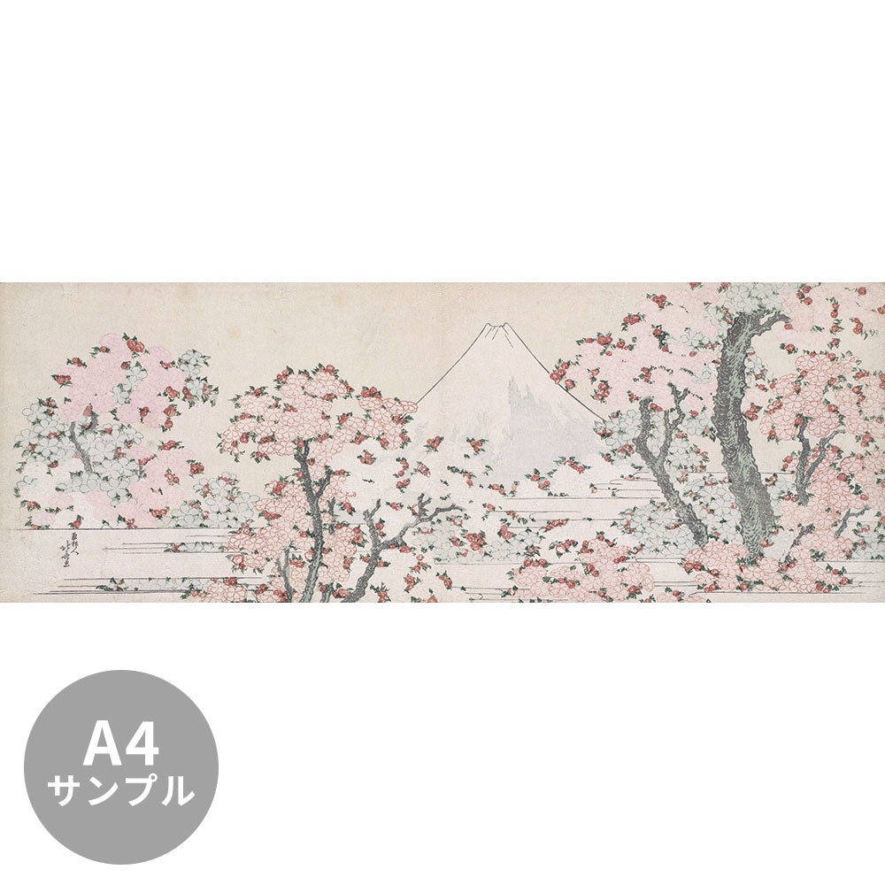 【サンプル】はがせるミューラル壁紙 シールタイプ 葛飾北斎 桜花に富士図 TSO-N00092