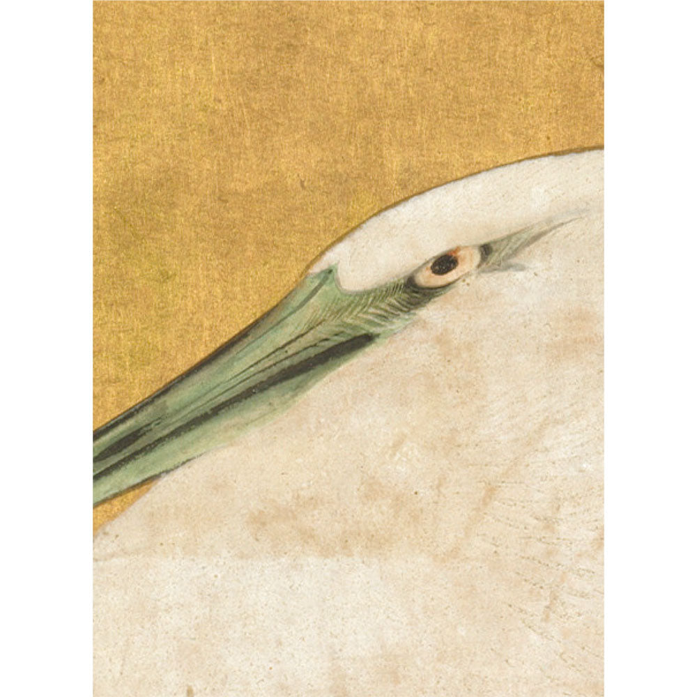 サンプル見本