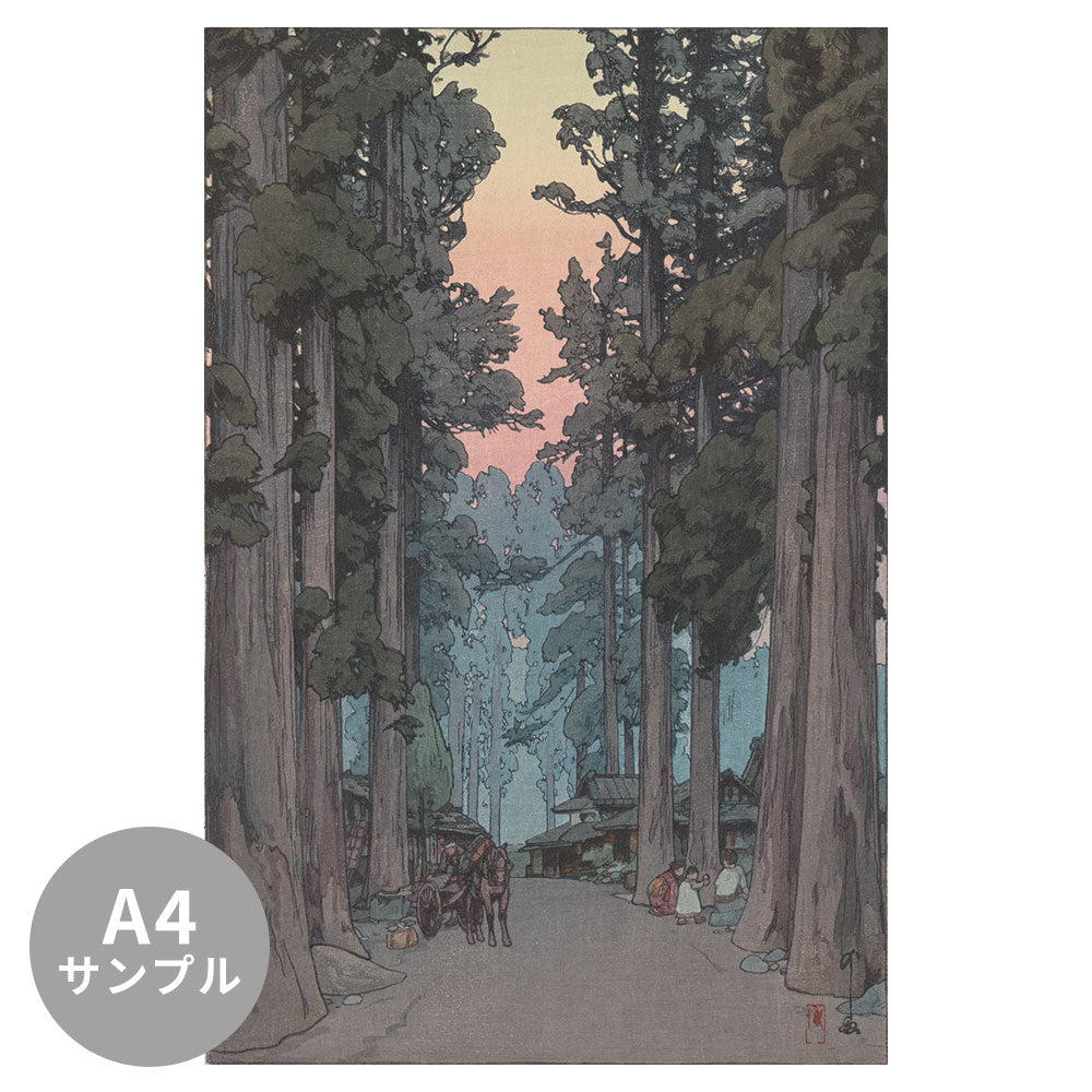 【サンプル】はがせるミューラル壁紙 のりなし 吉田 博 杉並木