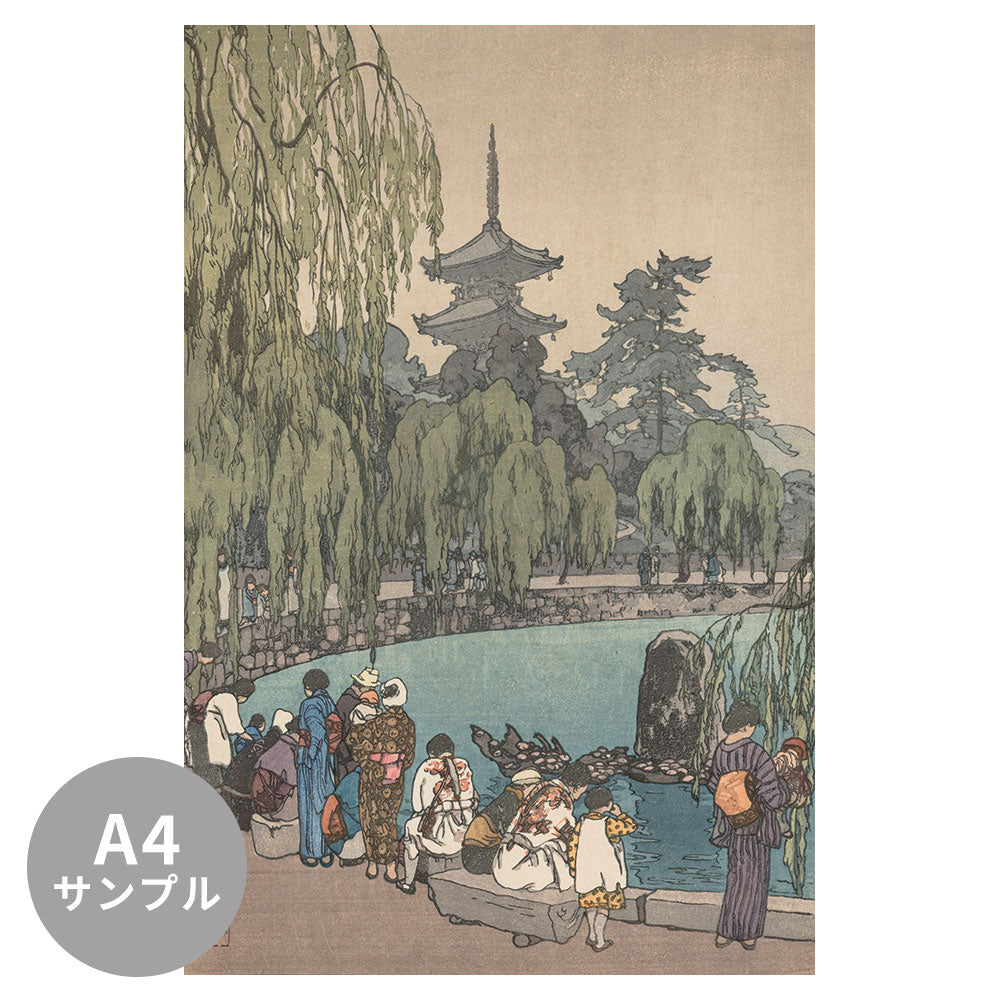 【サンプル】はがせるミューラル壁紙 のりなし 吉田 博 亀と鯉