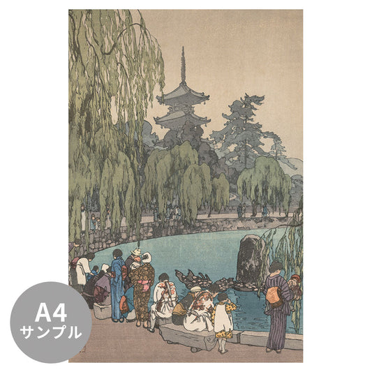 【サンプル】はがせるミューラル壁紙 のりなし 吉田 博 亀と鯉