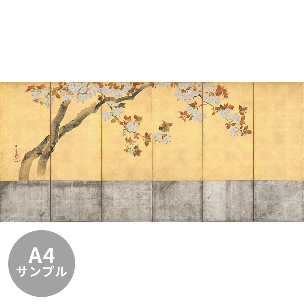 【サンプル】はがせるミューラル壁紙 シールタイプ 酒井抱一 桜図屏風 左隻 TSO-N00104