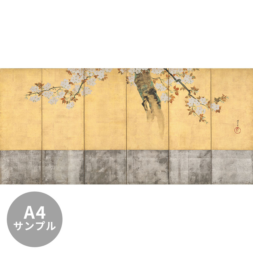 【サンプル】はがせるミューラル壁紙 シールタイプ 酒井抱一 桜図屏風 右隻 TSO-N00105