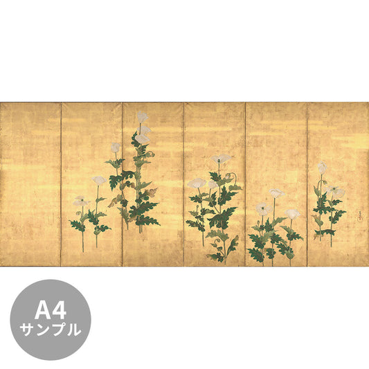 【サンプル】はがせるミューラル壁紙 シールタイプ 尾形光琳 芥子図 TSO-N00112