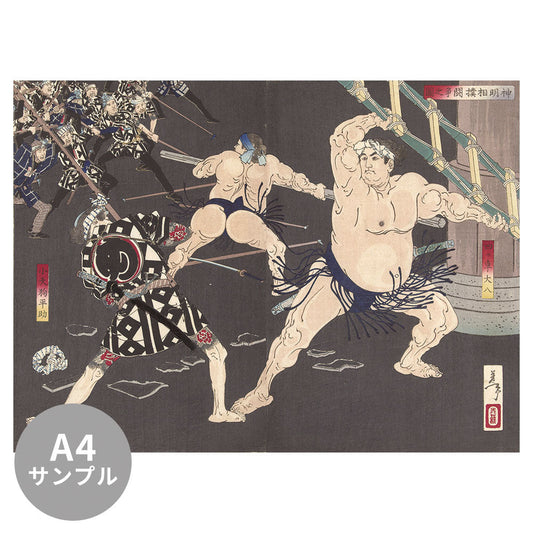 【サンプル】はがせるミューラル壁紙 シールタイプ 月岡芳年 新撰東錦絵 神明相撲闘争之図 TSO-N00116