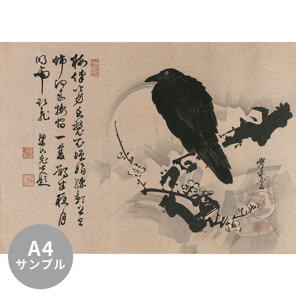 【サンプル】はがせるミューラル壁紙 シールタイプ 河鍋暁斎 月下 梅に鴉 TSO-N00124
