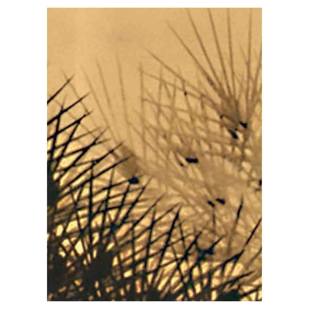 【サンプル】はがせるミューラル壁紙 のりなし 鈴木松年 老松図屏風 NSO-N00133