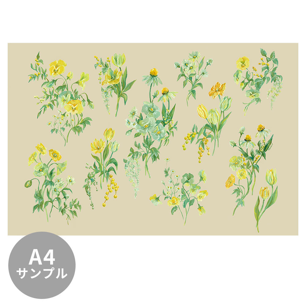 LIGHT BLOOMS Sand Beige TSO-T00002