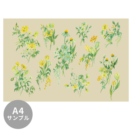 LIGHT BLOOMS Sand Beige TSO-T00002