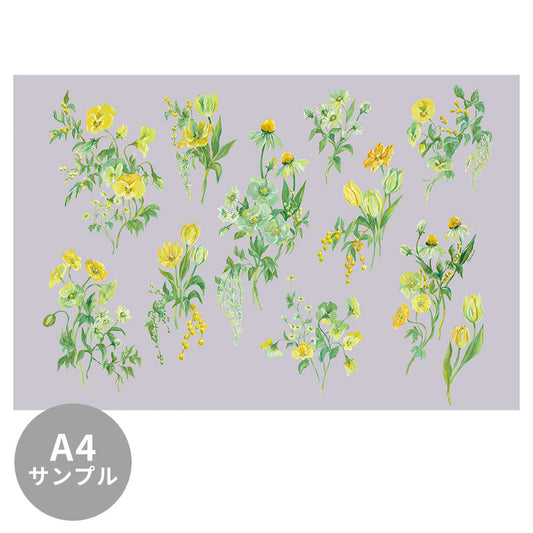 LIGHT BLOOMS Forest Green TSO-T00003
