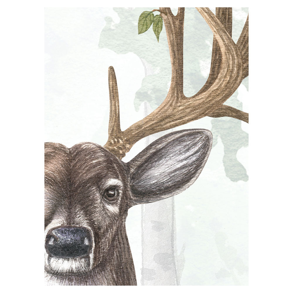KIKKI BELLE Amazing Antlers Summer W13294