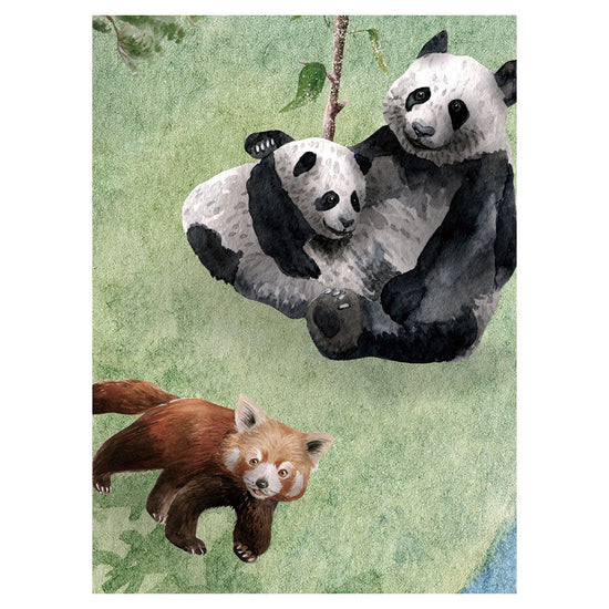 KIKKI BELLE Animals of Earth W13296