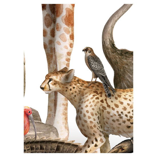 KIKKI BELLE Beautiful Biodiversity W13302