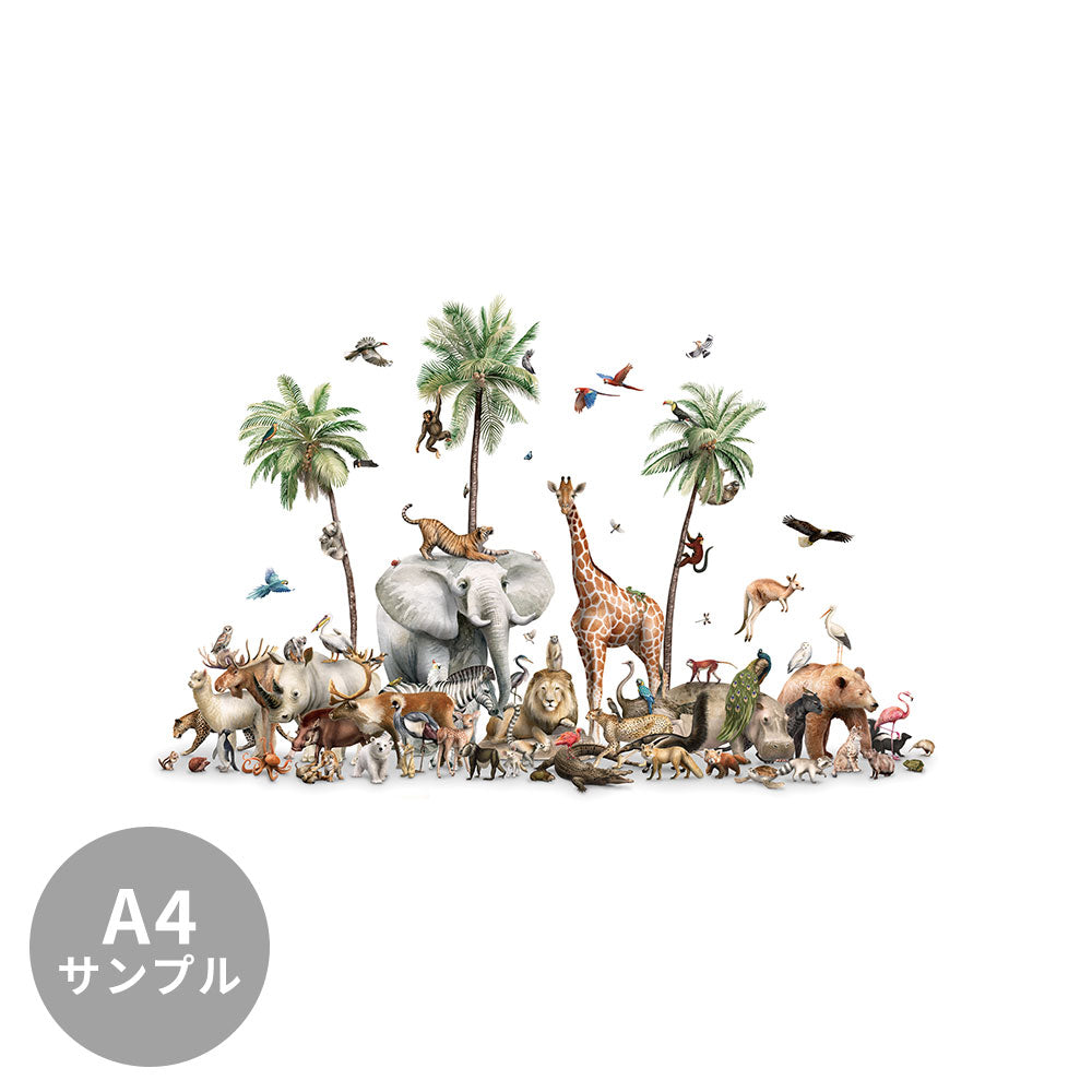 【サンプル】はがせるミューラル壁紙 のりなし KIKKI BELLE Beautiful Biodiversity W13302