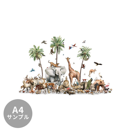 【サンプル】はがせるミューラル壁紙 のりなし KIKKI BELLE Beautiful Biodiversity W13302