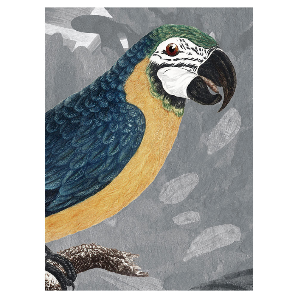 KIKKI BELLE Canopy Jungle Black and White W13304